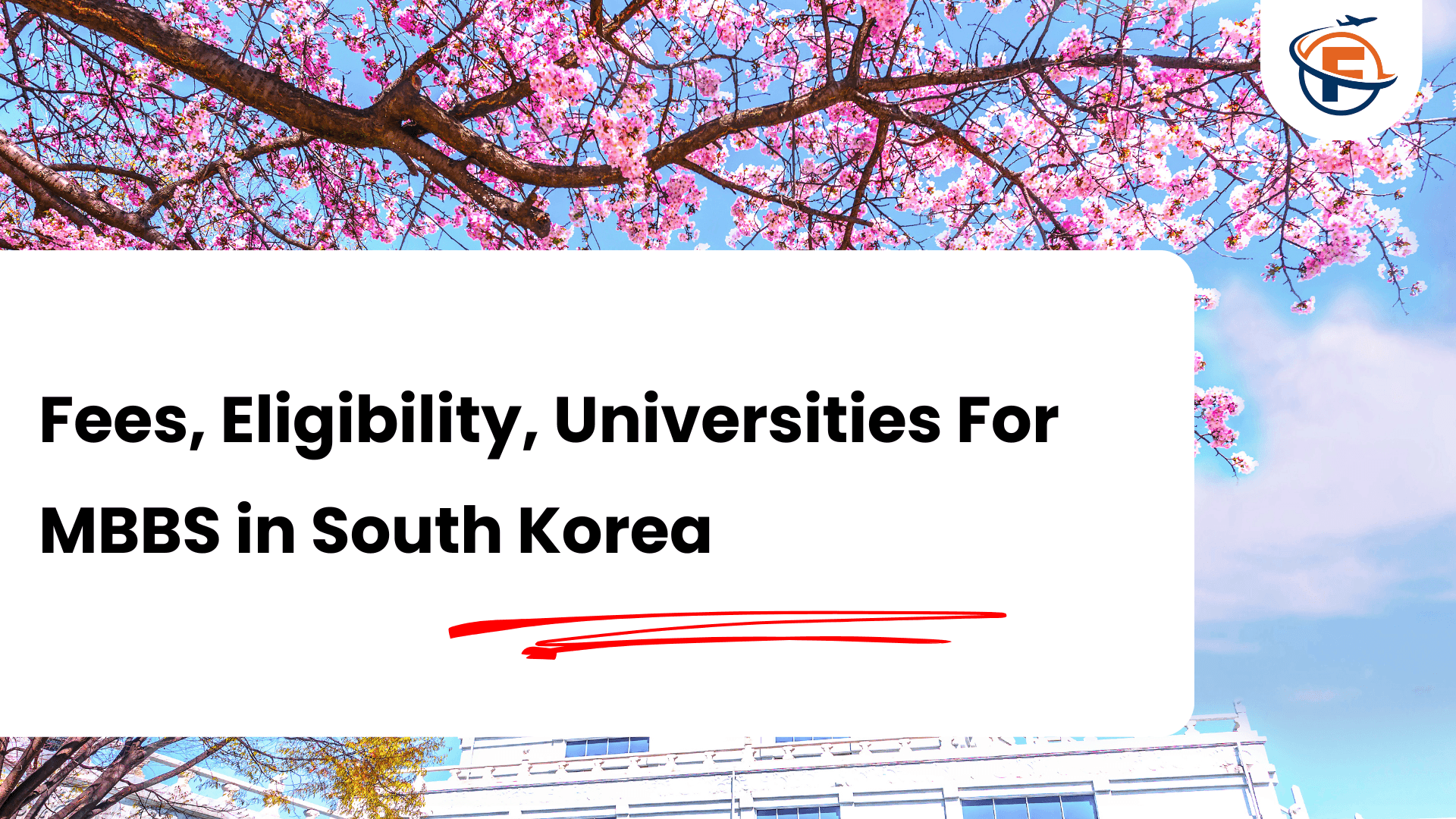 Read more about the article All About MBBS in South Korea For Indian Students 2026-27 : Fees, Eligibility, Universities
